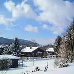 Apartman Am Hohen Bogen-61 By Interhome *